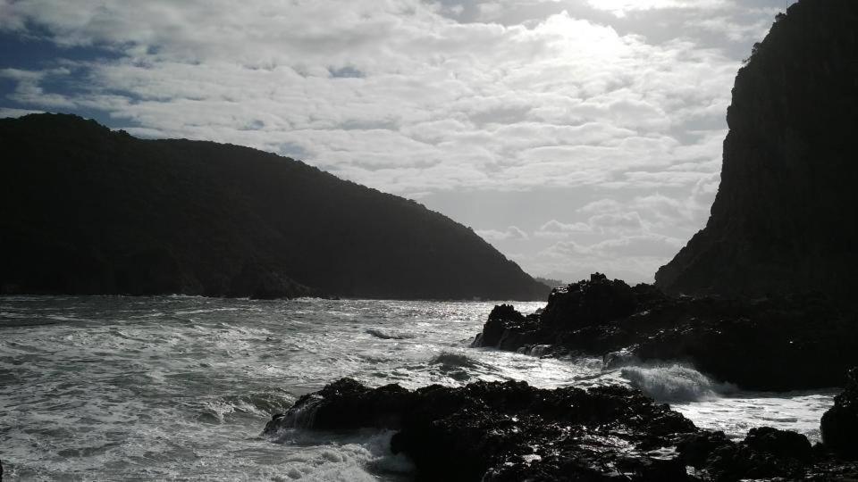 South Villa Guesthouse&Garden Knysna Exterior foto